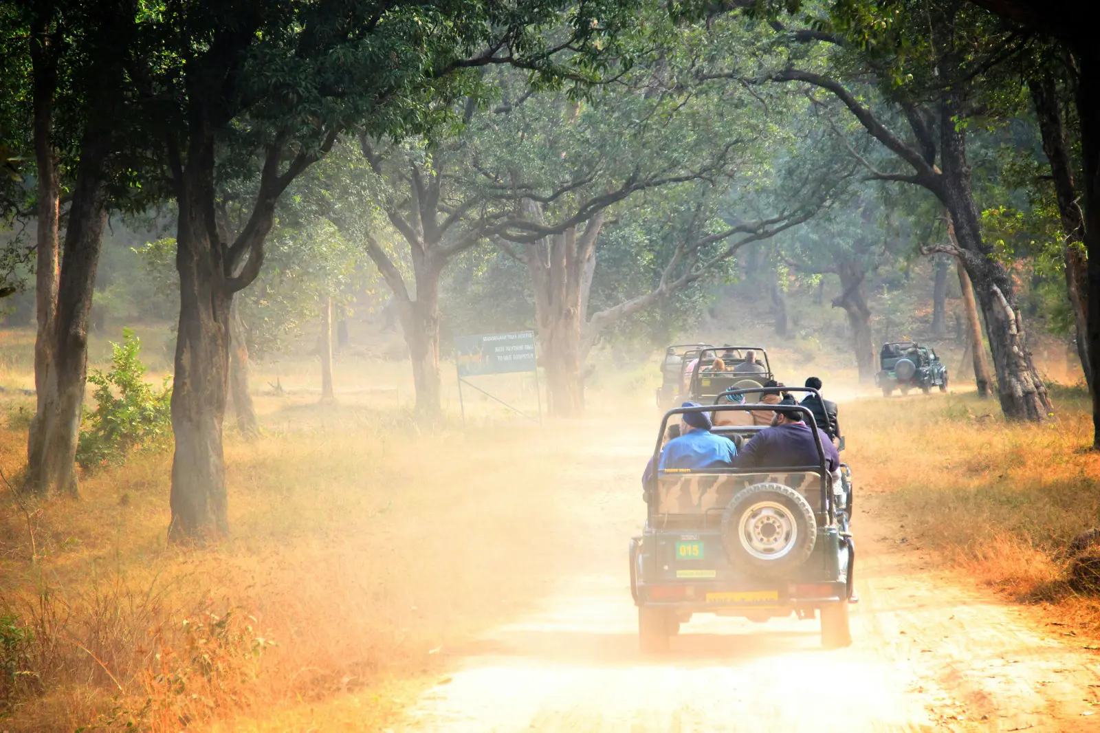 Satpura Safari Package - 1 Night / 2 Days