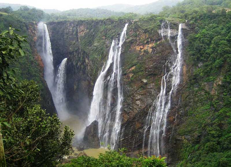 MP jungle safari travel guide
